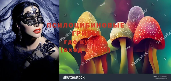 амф Алексеевка