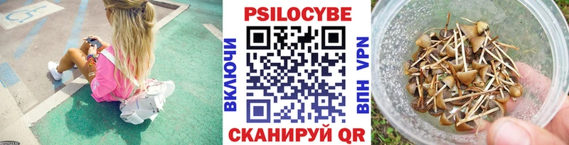 Псилоцибиновые грибы MAGIC MUSHROOMS  купить наркотики цена  Кемерово 